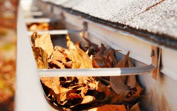 Burnton gutter cleaning companies